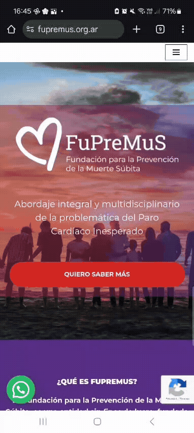 simbiosis diseño web wordpress